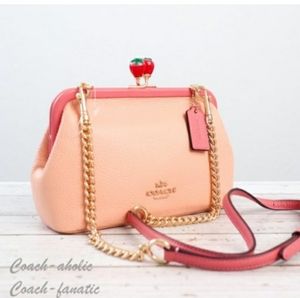 Coach NWT C 8288 Nora kiss lock crossbody  leather  clutch  with strawberry